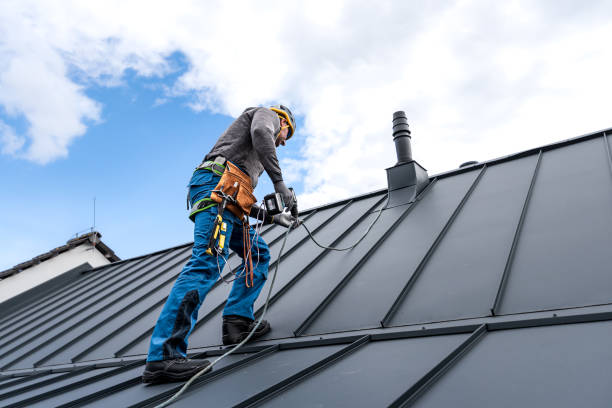 Best Sheet Metal Roofing  in Duncannon, PA